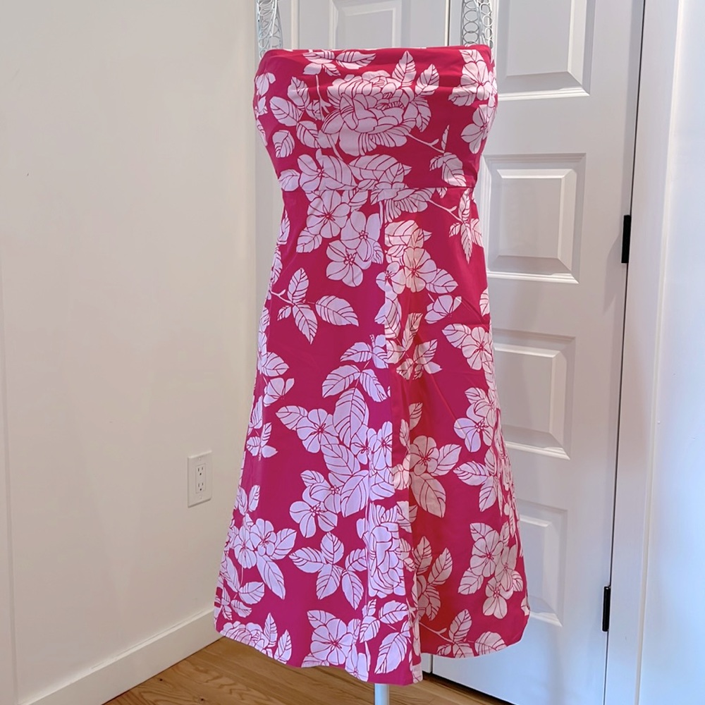 Express stretch dress